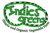 Indies Greens – Tilapia & Organic Vegetable Farm